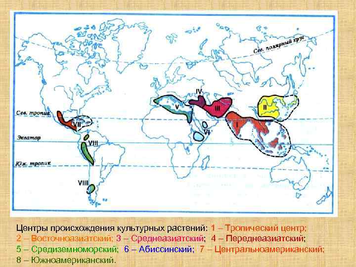 Центры происхождения культурных растений: 1 – Тропический центр; 2 – Восточноазиатский; 3 – Среднеазиатский;