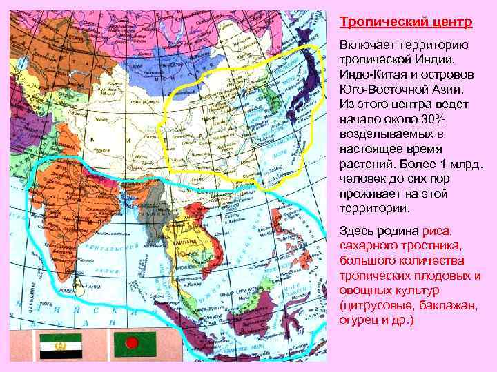 Тропический центр Включает территорию тропической Индии, Индо-Китая и островов Юго-Восточной Азии. Из этого центра