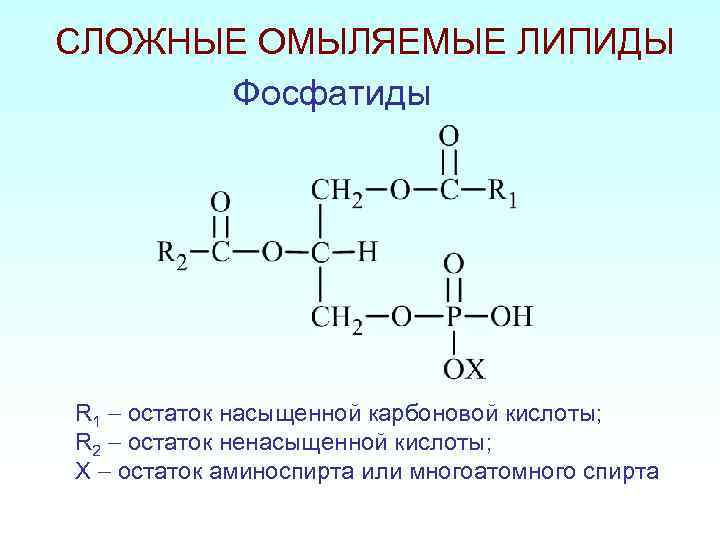 Простые липиды жиры