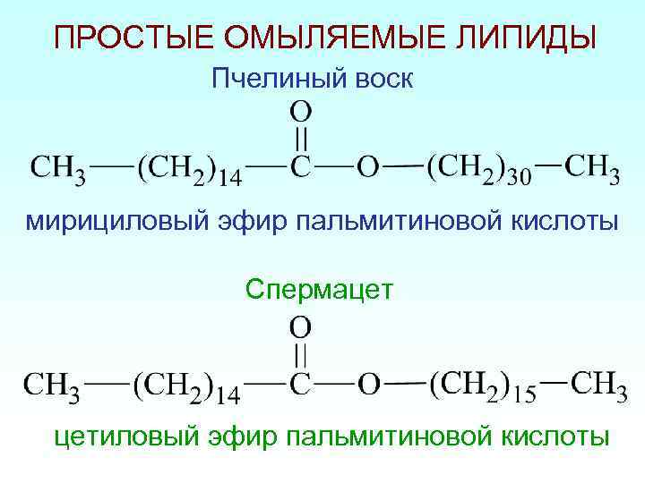 ПРОСТЫЕ ОМЫЛЯЕМЫЕ ЛИПИДЫ Пчелиный воск мирициловый эфир пальмитиновой кислоты Спермацет цетиловый эфир пальмитиновой кислоты