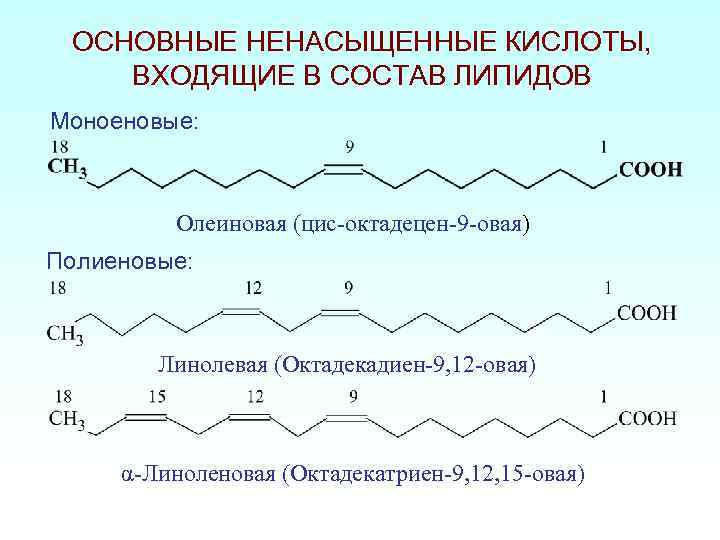 Ненасыщенные кислоты. Линолевая линоленовая арахидоновая. Олеиновая кислота линолевая кислота линоленовая кислота. Формулы ненасыщенных жирных кислот линоленовая. Структура арахидоновой линоленовой линолевой кислоты.