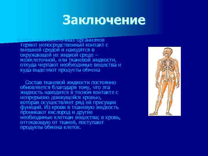 Заключение Клетки многоклеточных организмов теряют непосредственный контакт с внешней средой и находятся в окружающей