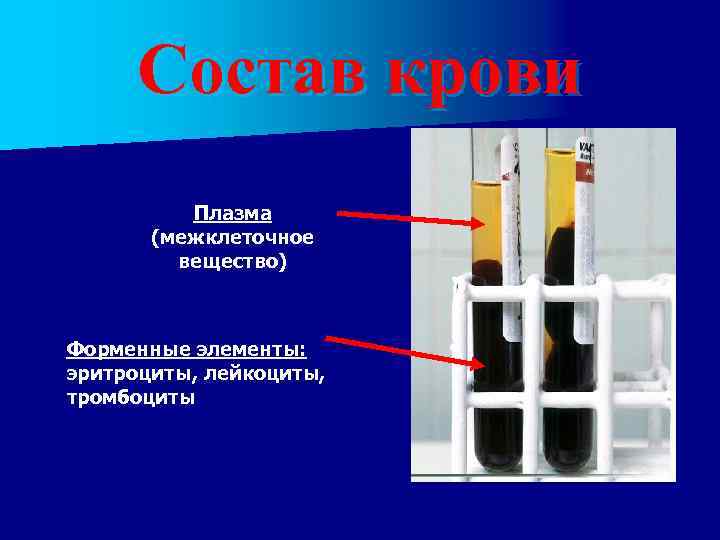 Состав крови Плазма (межклеточное вещество) Форменные элементы: эритроциты, лейкоциты, тромбоциты 