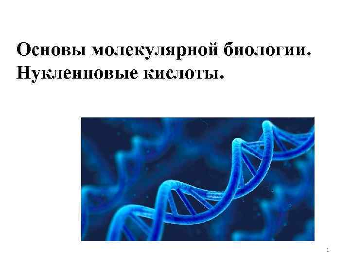 Молекулярные основы. Молекулярная биология презентация. Нуклеиновые кислоты молекулярная биология. Основы молекулярной биологии. Презентация на тему молекулярная биология.