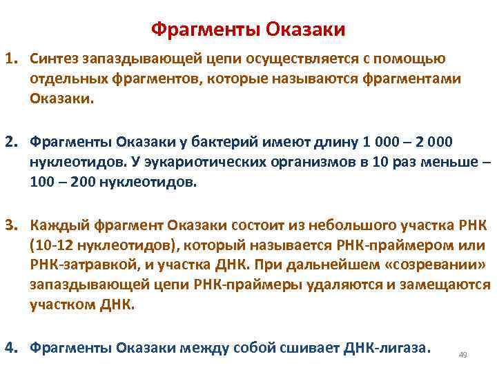 Фрагменты Оказаки 1. Синтез запаздывающей цепи осуществляется с помощью отдельных фрагментов, которые называются фрагментами