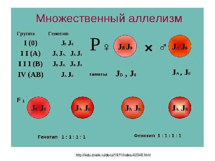 http: //edu. znate. ru/docs/1971/index-42340. html 