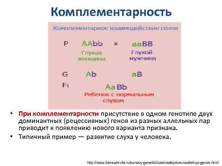 Комплементарность неполное доминирование