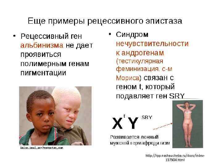 http: //rpp. nashaucheba. ru/docs/index 137904. html 