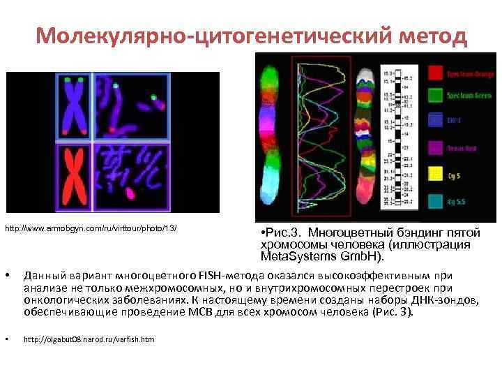 Молекулярно-цитогенетический метод http: //www. armobgyn. com/ru/virttour/photo/13/ • • • Рис. 3. Многоцветный бэндинг пятой