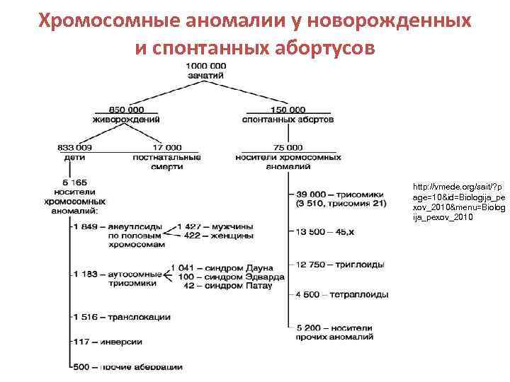 Хромосомные аномалии у новорожденных и спонтанных абортусов http: //vmede. org/sait/? p age=10&id=Biologija_pe xov_2010&menu=Biolog ija_pexov_2010
