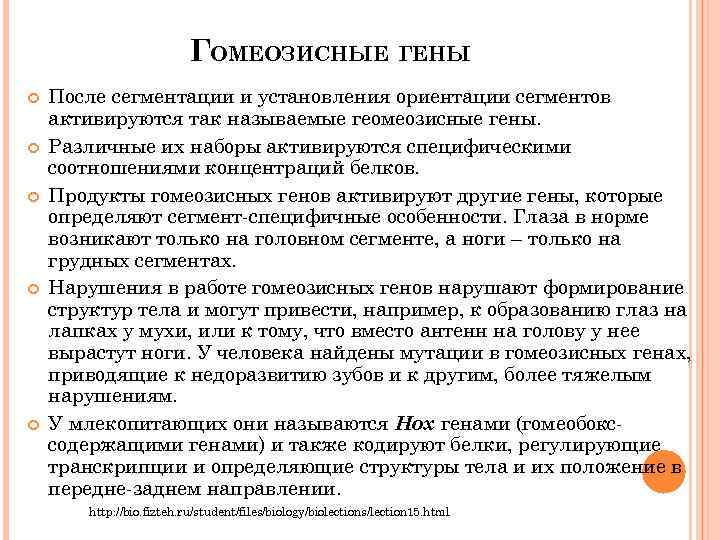 ГОМЕОЗИСНЫЕ ГЕНЫ После сегментации и установления ориентации сегментов активируются так называемые геомеозисные гены. Различные