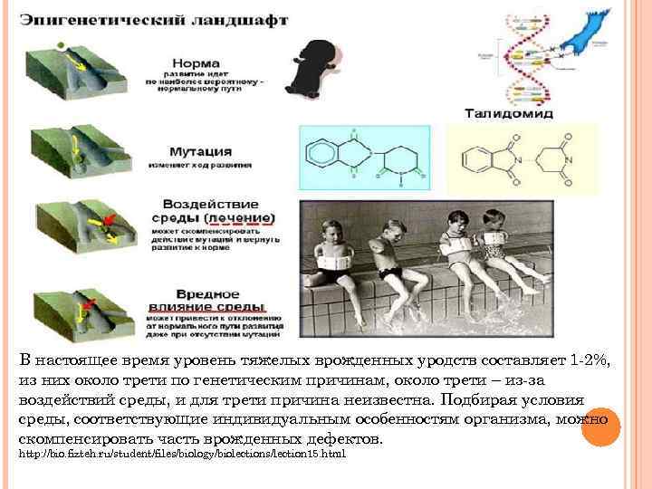 В настоящее время уровень тяжелых врожденных уродств составляет 1 -2%, из них около трети