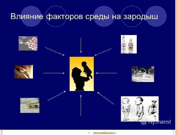  www. myshared. ru - 