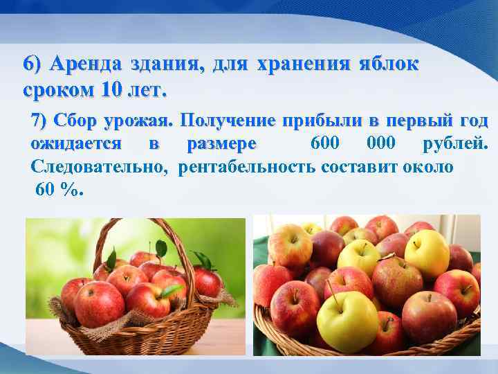 6) Аренда здания, для хранения яблок сроком 10 лет. 7) Сбор урожая. Получение прибыли