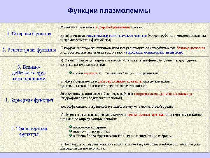 Функции плазмолеммы 