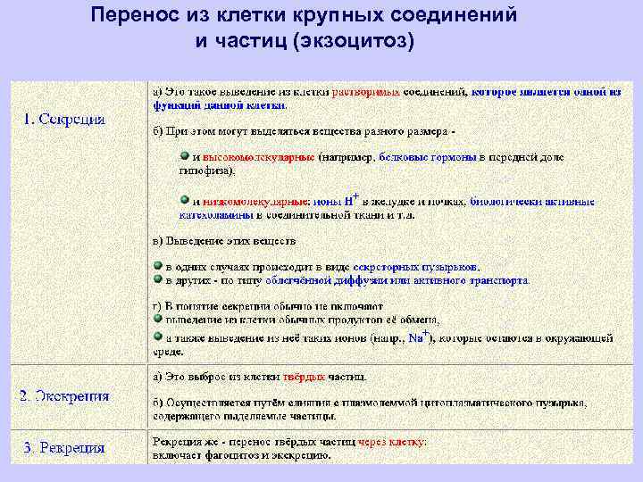 Перенос из клетки крупных соединений и частиц (экзоцитоз) 