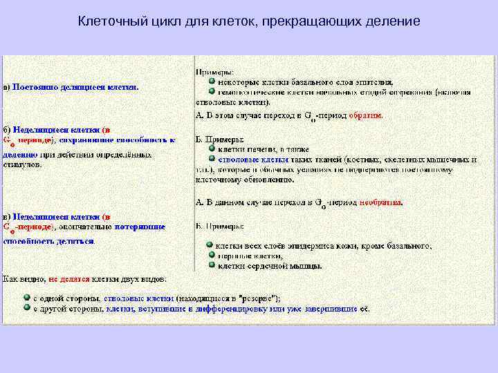 Клеточный цикл для клеток, прекращающих деление 