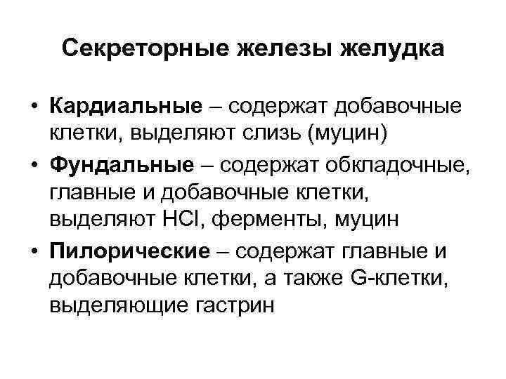  Секреторные железы желудка • Кардиальные – содержат добавочные клетки, выделяют слизь (муцин) •