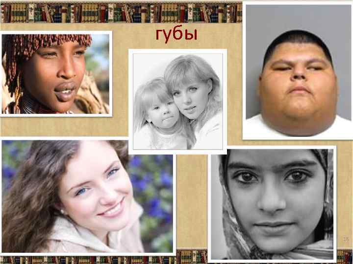 губы 16 