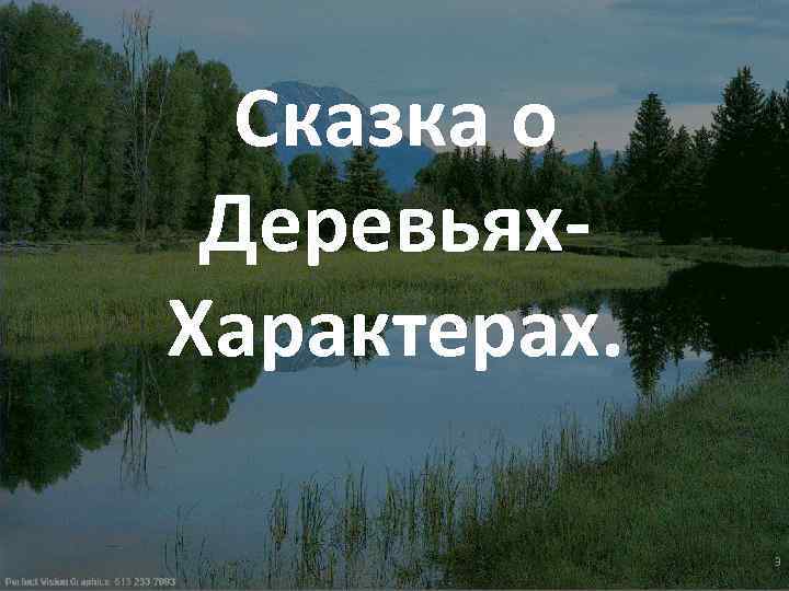 Сказка о Деревьях. Характерах. 3 