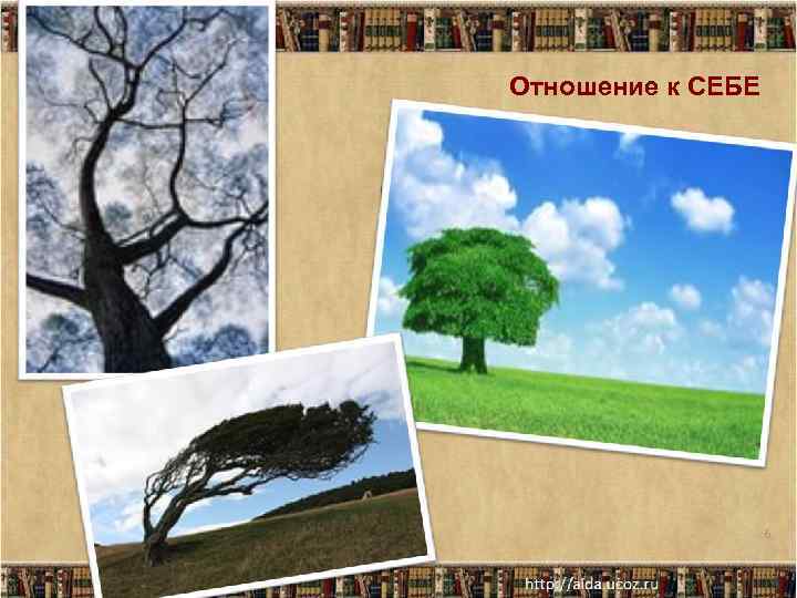 Отношение к СЕБЕ 6 
