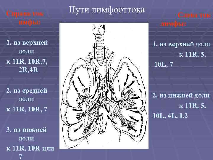 Справа ток имфы: 1. из верхней доли к 11 R, 10 R, 7, 2