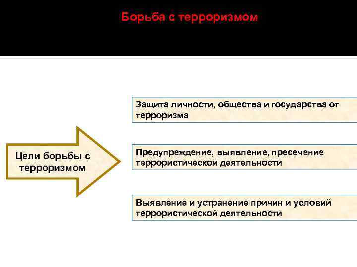 Основным субъектом руководства борьбой с терроризмом и обеспечения ее необходимыми силами является