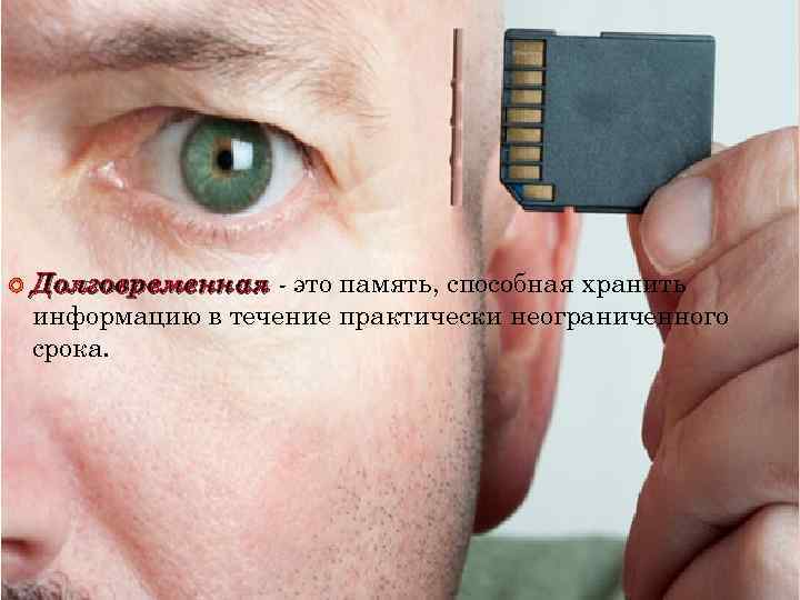  Долговременная - это память, способная хранить информацию в течение практически неограниченного срока. 