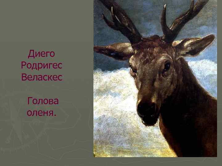 Диего Родригес Веласкес Голова оленя. 