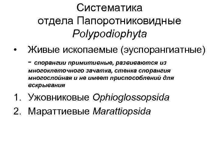 Систематика отдела Папоротниковидные Polypodiophyta • Живые ископаемые (эуспорангиатные) - спорангии примитивные, развиваются из многоклеточного