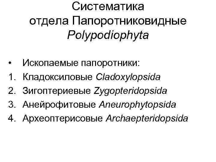 Систематика отдела Папоротниковидные Polypodiophyta • 1. 2. 3. 4. Ископаемые папоротники: Кладоксиловые Cladoxylopsida Зигоптериевые