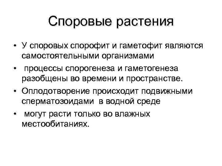 Споровые растения • У споровых спорофит и гаметофит являются самостоятельными организмами • процессы спорогенеза