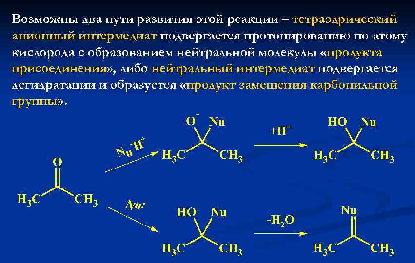 Две возможные