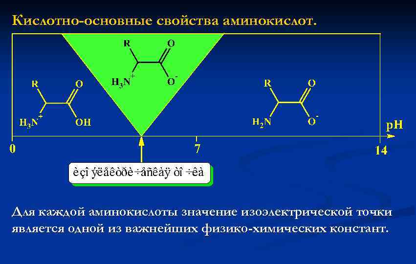 Кислотная точка. Кислотноосновыные свойства аминокислот. Кислотно-основные свойства аминокислот. Кислотно-основные свойства аминокислот. Изоэлектрическая точка.. Характеристику для аминокислоты в изоэлектрической точке.