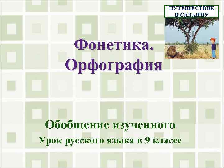 ПУТЕШЕСТВИЕ В САВАННУ Фонетика. Орфография Обобщение изученного Урок русского языка в 9 классе 