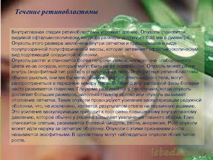 Течение ретинобластомы Внутриглазная стадия ретинобластомы угрожает зрению. Опухоль становится видимой офтальмоскопически, когда ее размеры