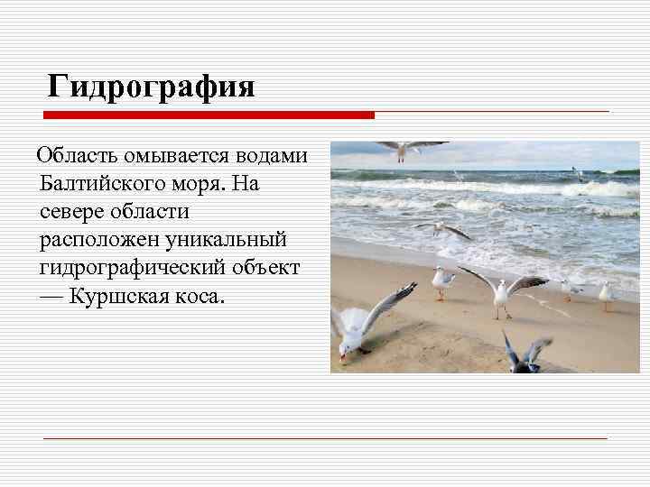 Гидрография Область омывается водами Балтийского моря. На севере области расположен уникальный гидрографический объект —