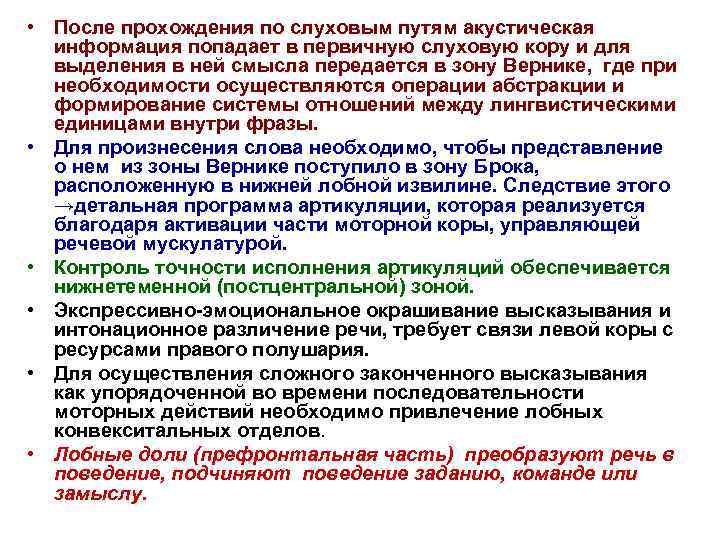  • После прохождения по слуховым путям акустическая информация попадает в первичную слуховую кору