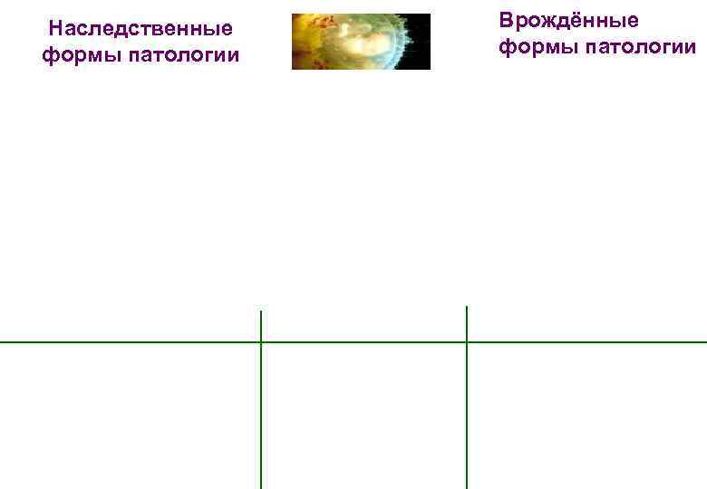 Наследственные формы патологии Врождённые формы патологии 