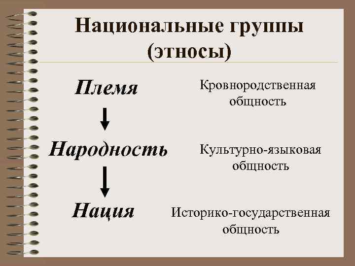 Национальные группы (этносы) Племя Кровнородственная общность Народность Культурно-языковая общность Нация Историко-государственная общность 
