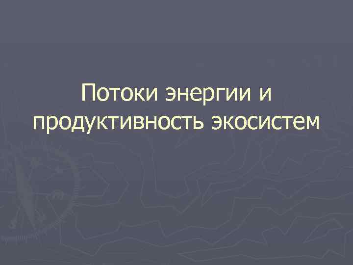 Потоки энергии и продуктивность экосистем 