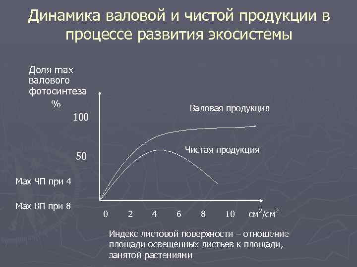 Динамика валовой и чистой продукции в процессе развития экосистемы Доля max валового фотосинтеза %