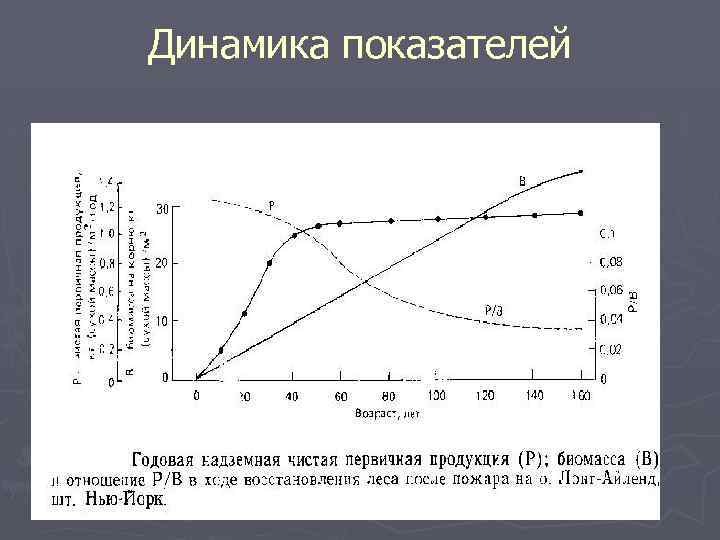 Динамика показателей 