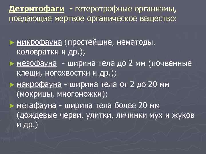 Детритофаги - гетеротрофные организмы, поедающие мертвое органическое вещество: ► микрофауна (простейшие, нематоды, коловратки и