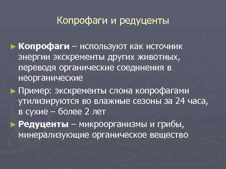 Копрофаги это. Копрофаги примеры. Источники энергии для редуцентов. Чем питаются копрофаги. Копрофаги это в биологии.