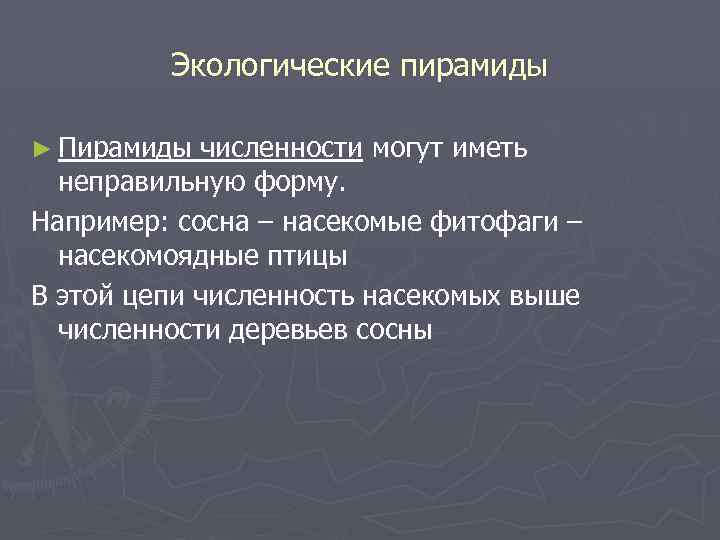 Экологические пирамиды ► Пирамиды численности могут иметь неправильную форму. Например: сосна – насекомые фитофаги