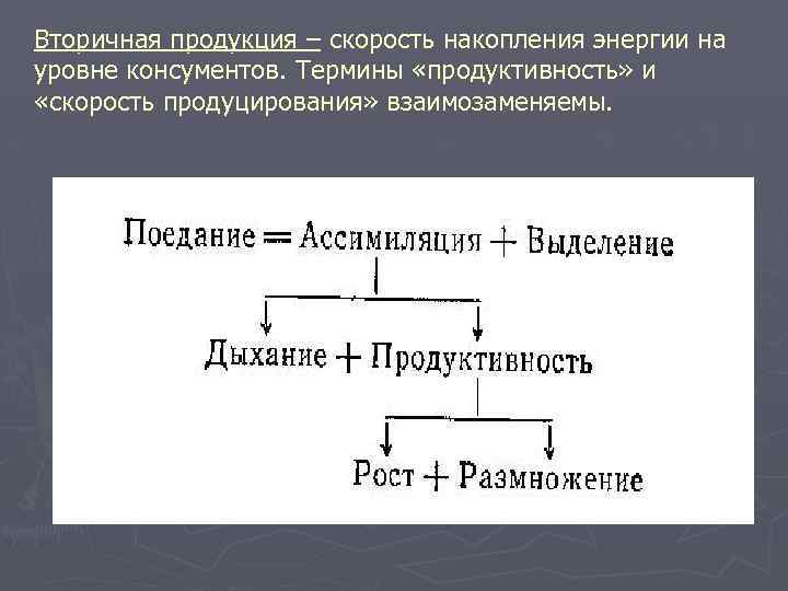 Вторичная продукция – скорость накопления энергии на уровне консументов. Термины «продуктивность» и «скорость продуцирования»