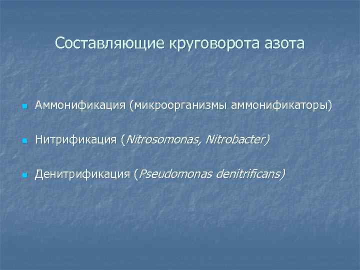 Составляющие круговорота азота n Аммонификация (микроорганизмы аммонификаторы) n Нитрификация (Nitrosomonas, Nitrobacter) n Денитрификация (Pseudomonas