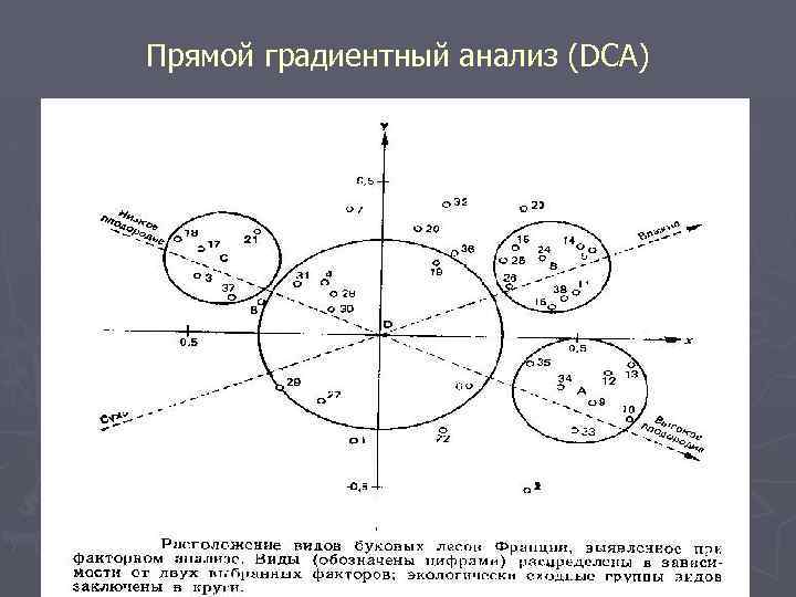 Прямой градиентный анализ (DCA) 