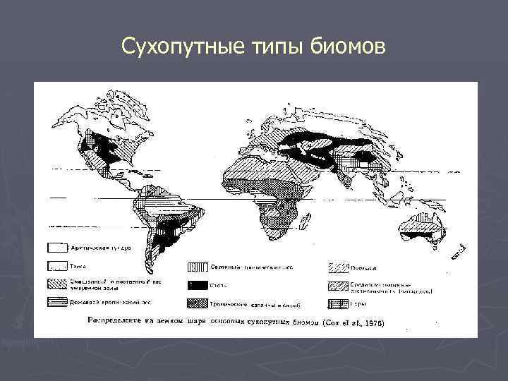 Сухопутные типы биомов 
